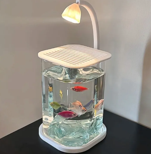 2 in 1 Fish Tank with Night Light